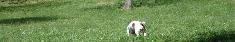 No-Fee Live Porno Show Chats Only With Simply No Signing In header image 2 No-Fee Live Porno Show Chats Only With Simply No Signing In header image 2